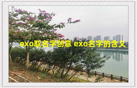 exo取名字创意 exo名字的含义